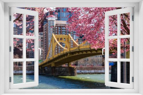 Fototapeta Naklejka Na Ścianę Okno 3D - Pittsburgh Cherry Blossoms