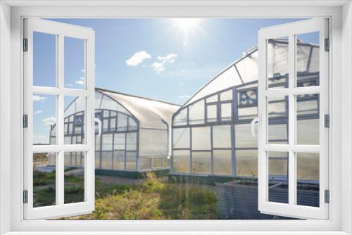Fototapeta Naklejka Na Ścianę Okno 3D - Greenhouse outside view. Agricultural eco farming and farming for growing vegetables and fruits. Greenhouses business concept.