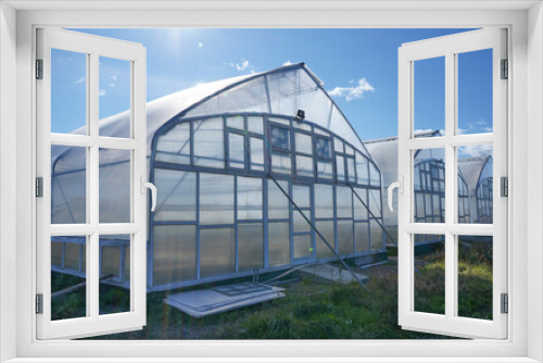 Fototapeta Naklejka Na Ścianę Okno 3D - Greenhouse outside view. Agricultural eco farming and farming for growing vegetables and fruits. Greenhouses business concept.