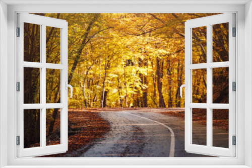 Fototapeta Naklejka Na Ścianę Okno 3D - Travel, tourism, recreation concept in fall. Colorful landscape with curved roadway, trees with orange leaves in fall. mountain trail