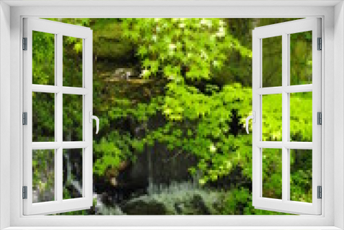 Fototapeta Naklejka Na Ścianę Okno 3D - 木々に囲まれた小さな滝
