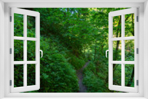 Fototapeta Naklejka Na Ścianę Okno 3D - Weg durch den Wald, Fußweg zwischen Bäumen in einem Mischwald. Bäume stehen auf bewachsenen Felsen im Märchenland. wunderschöne Bürserschlucht mit zauberhaften Plätzen, lichtdurchflutet