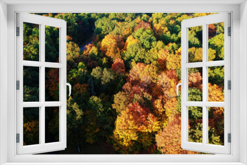 Fototapeta Naklejka Na Ścianę Okno 3D - Aerial view of autumn foliage