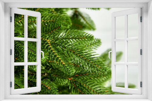 Fototapeta Naklejka Na Ścianę Okno 3D - Cropped Shot Of Pine Branch. Abstract Nature Background. Trees, Nature, Christmas Concept.