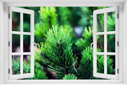 Fototapeta Naklejka Na Ścianę Okno 3D - zielone pędy kosodrzewiny