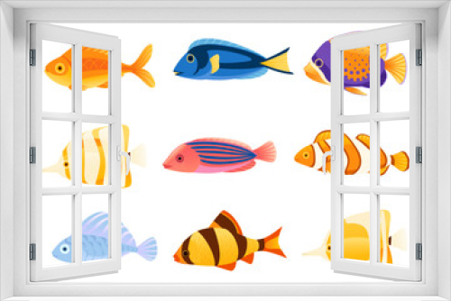 Fototapeta Naklejka Na Ścianę Okno 3D - Set of Exotic tropical aquarium fishes vector illustration isolated on white background cartoon animal design