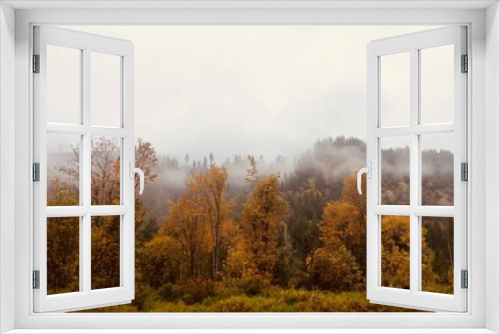 Fototapeta Naklejka Na Ścianę Okno 3D - Mist 
