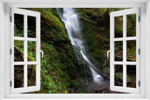 Fototapeta Naklejka Na Ścianę Okno 3D - Waterfall in the Quinault Rainforest, Pacific Northwest Washington State