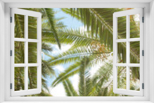 Fototapeta Naklejka Na Ścianę Okno 3D - Tropical 