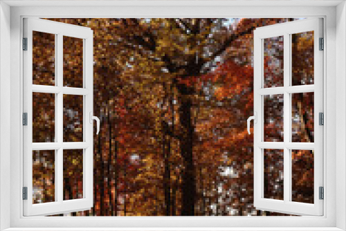 Fototapeta Naklejka Na Ścianę Okno 3D - Scenic Back Road, Autumn Trees, North Carolina