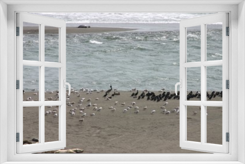 Fototapeta Naklejka Na Ścianę Okno 3D - Küste in Kalifornien