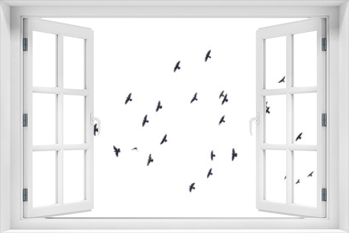Fototapeta Naklejka Na Ścianę Okno 3D - Flocks of flying pigeons isolated on white background. Save with clipping path.