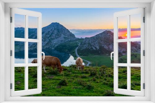 Fototapeta Naklejka Na Ścianę Okno 3D - Picturesque rocky landscape and cows grazing in highland pastures above lakes of Covadonga at sunset, Asturias, Spain..