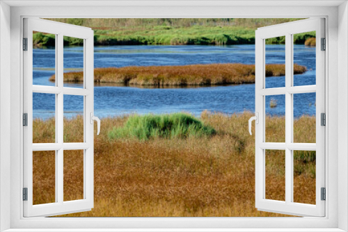 Fototapeta Naklejka Na Ścianę Okno 3D - Reserva natural de l'Albufereta, bahia de Pollensa ,Mallorca, balearic islands, Spain