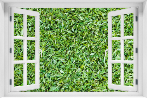 Fototapeta Naklejka Na Ścianę Okno 3D - green tea leaf