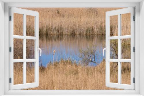 Fototapeta Naklejka Na Ścianę Okno 3D - Parque natural de la Albufera de Mallorca, Prat de Son Serra,  Mallorca, balearic islands, spain, europe