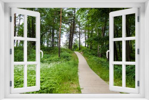 Fototapeta Naklejka Na Ścianę Okno 3D - Wooden pathway between trees and green grass. Summer park or forest.