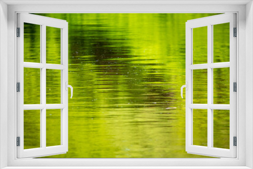 Fototapeta Naklejka Na Ścianę Okno 3D - The green expanse of water on the reservoir as an abstract background.