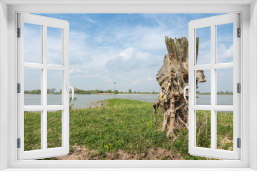 Fototapeta Naklejka Na Ścianę Okno 3D - Oddly shaped and rotten tree trunk