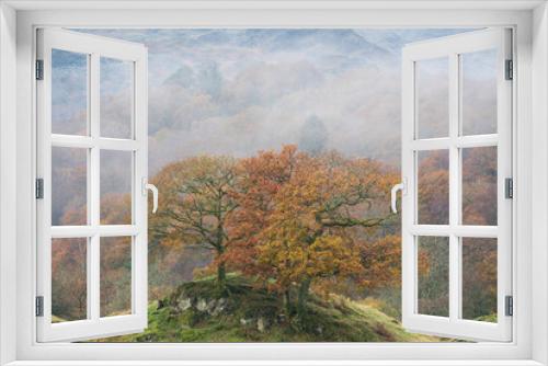 Fototapeta Naklejka Na Ścianę Okno 3D - Beautiful Autumn landscape image of River Brathay in Lake District lookng towards Langdale Pikes with fog across river and vibrant woodlands