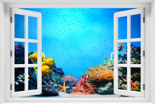 Fototapeta Naklejka Na Ścianę Okno 3D - Underwater scene. Coral reef, fish groups in clear ocean water