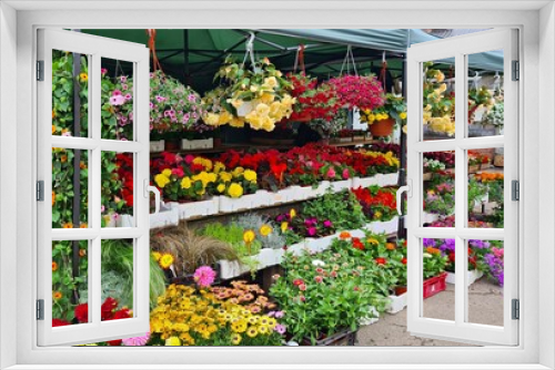 Fototapeta Naklejka Na Ścianę Okno 3D - Many different varieties of flowers in beautiful colors in the city's agricultural market