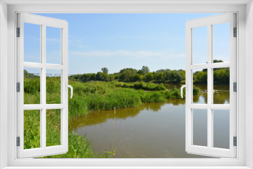 Fototapeta Naklejka Na Ścianę Okno 3D - Natural landscapes of the Bug River - trees, hills, reeds, grass, water lilies, clear and transparent water. The river is located on the village of Rybienko Nowe, the city of Wyszkw, Poland.