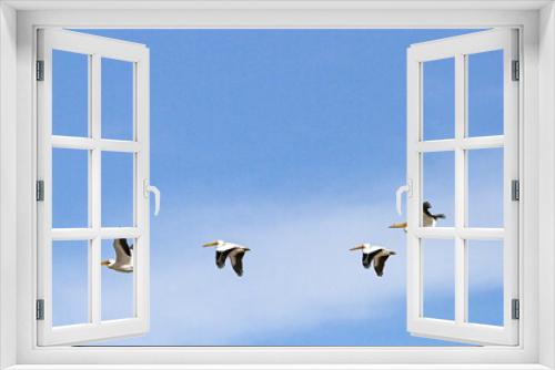 Fototapeta Naklejka Na Ścianę Okno 3D - geese in flight