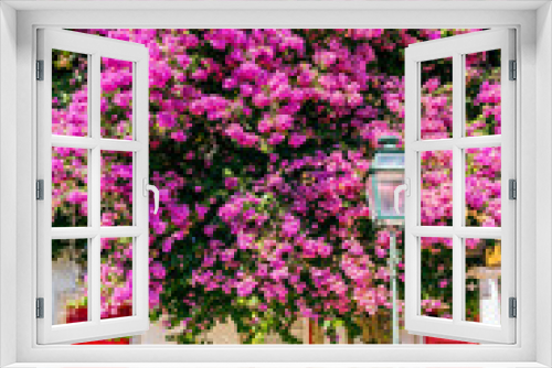 Fototapeta Naklejka Na Ścianę Okno 3D - Beautiful pink flowers in front of two red doors and a street light