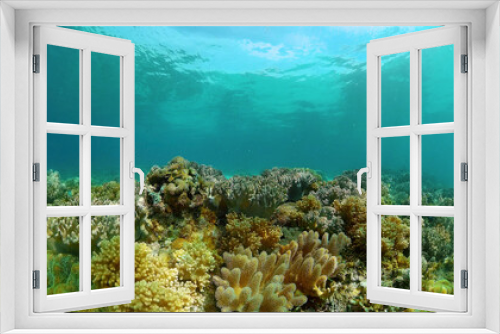 Fototapeta Naklejka Na Ścianę Okno 3D - Tropical fishes and coral reef underwater. Hard and soft corals, underwater landscape. Travel vacation concept. Philippines.