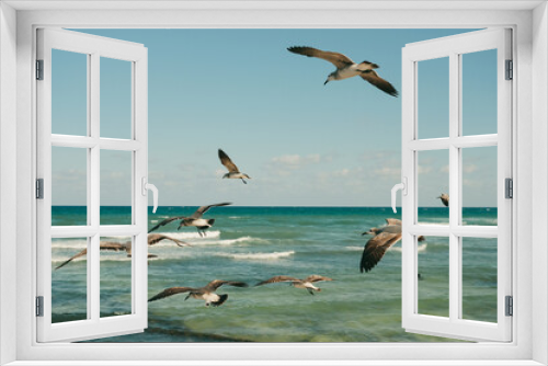 Fototapeta Naklejka Na Ścianę Okno 3D - A horizontal closeup photo of the seagulls flying at the sea blues.