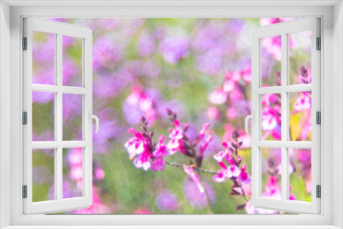 Fototapeta Naklejka Na Ścianę Okno 3D - カラフルな花