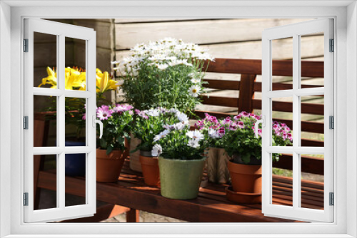 Fototapeta Naklejka Na Ścianę Okno 3D - Many different beautiful blooming plants in flowerpots on wooden bench outdoors