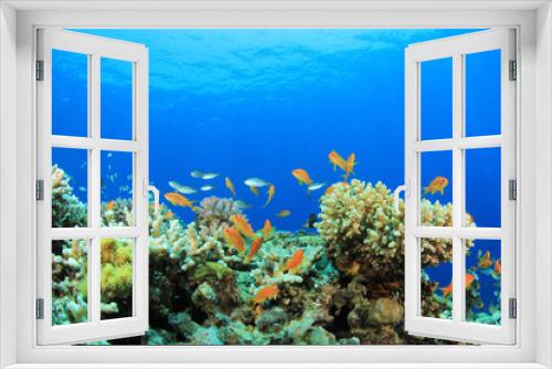 Fototapeta Naklejka Na Ścianę Okno 3D - Underwater Coral Reef and Tropical Fish