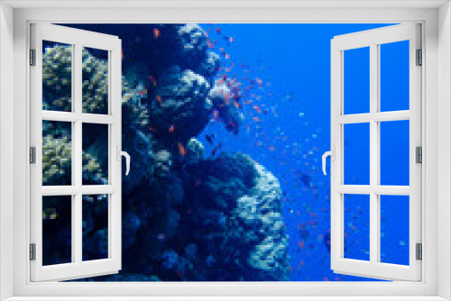 Fototapeta Naklejka Na Ścianę Okno 3D - Scuba Diving in the Red Sea in Egypt