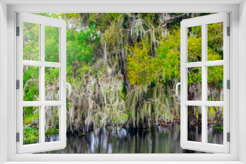 Fototapeta Naklejka Na Ścianę Okno 3D - Magroves reflections on the swamp, Florida Everglades.