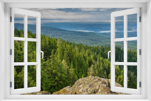 Fototapeta Naklejka Na Ścianę Okno 3D - Pine Tree Forrest in the Mountains in British Columbia Canada