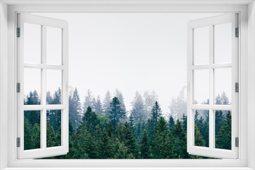 Fototapeta Naklejka Na Ścianę Okno 3D - Misty pine tree forest 