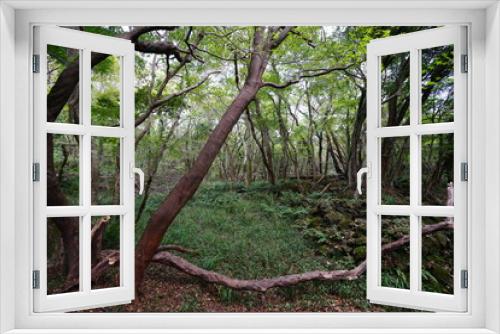 Fototapeta Naklejka Na Ścianę Okno 3D - fallen tree in deep forest