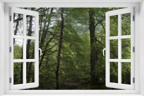 Fototapeta Naklejka Na Ścianę Okno 3D - Árbol