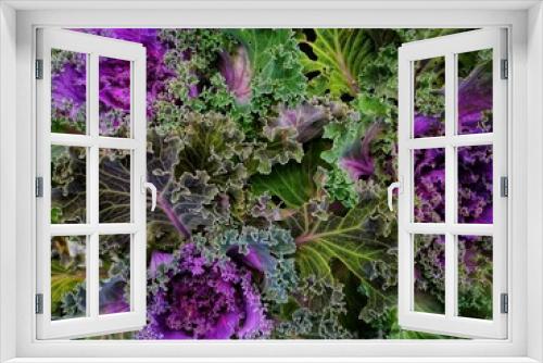 Fototapeta Naklejka Na Ścianę Okno 3D - purple