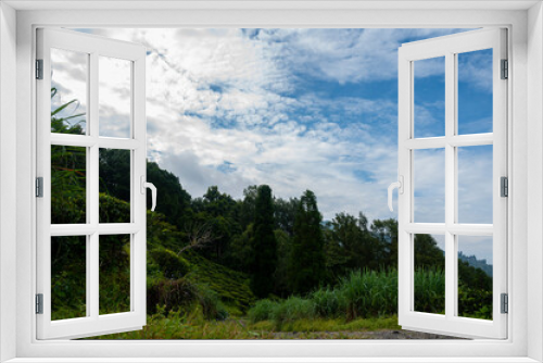 Fototapeta Naklejka Na Ścianę Okno 3D - Blue Sky with Cirrus clouds. Background sky gradient , Bright and enjoy your eye with the sky refreshing in Kurseong. nature freshness concept. View from Kurseong in morning time.