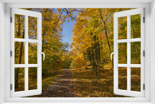 Fototapeta Naklejka Na Ścianę Okno 3D - Beautiful autumn forest path on a sunny day in Kassel, Germany