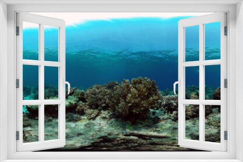 Fototapeta Naklejka Na Ścianę Okno 3D - Underwater fish reef marine. Tropical colourful underwater seascape. Philippines. Virtual Reality 360.