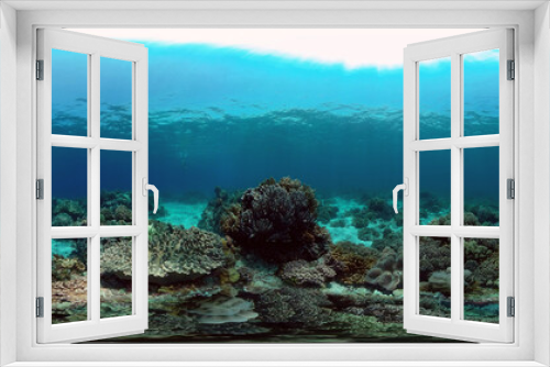 Fototapeta Naklejka Na Ścianę Okno 3D - Coral Reef Fish Scene. Tropical underwater sea fish. Colourful tropical coral reef. Philippines. 360 panorama VR