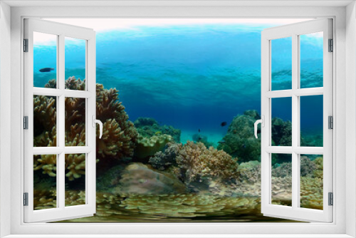 Fototapeta Naklejka Na Ścianę Okno 3D - Tropical Fishes on Coral Reef, underwater scene. Philippines. 360 panorama VR