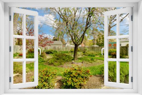 Fototapeta Naklejka Na Ścianę Okno 3D - garden in spring flowers blue sky sunny