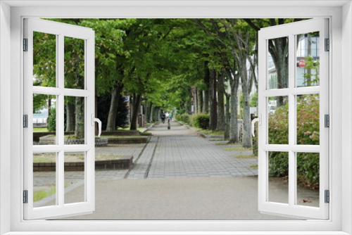 Fototapeta Naklejka Na Ścianę Okno 3D - 琵琶湖岸の公園の風景