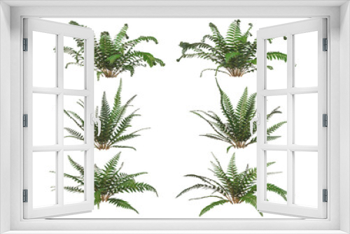 Fototapeta Naklejka Na Ścianę Okno 3D - Shrubs and grass on a transparent background
