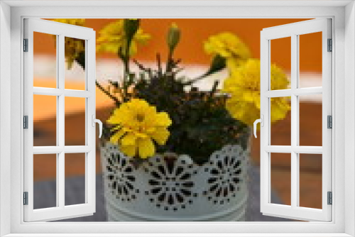 Fototapeta Naklejka Na Ścianę Okno 3D - Yellow cloves in a pot